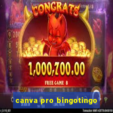 canva pro bingotingo